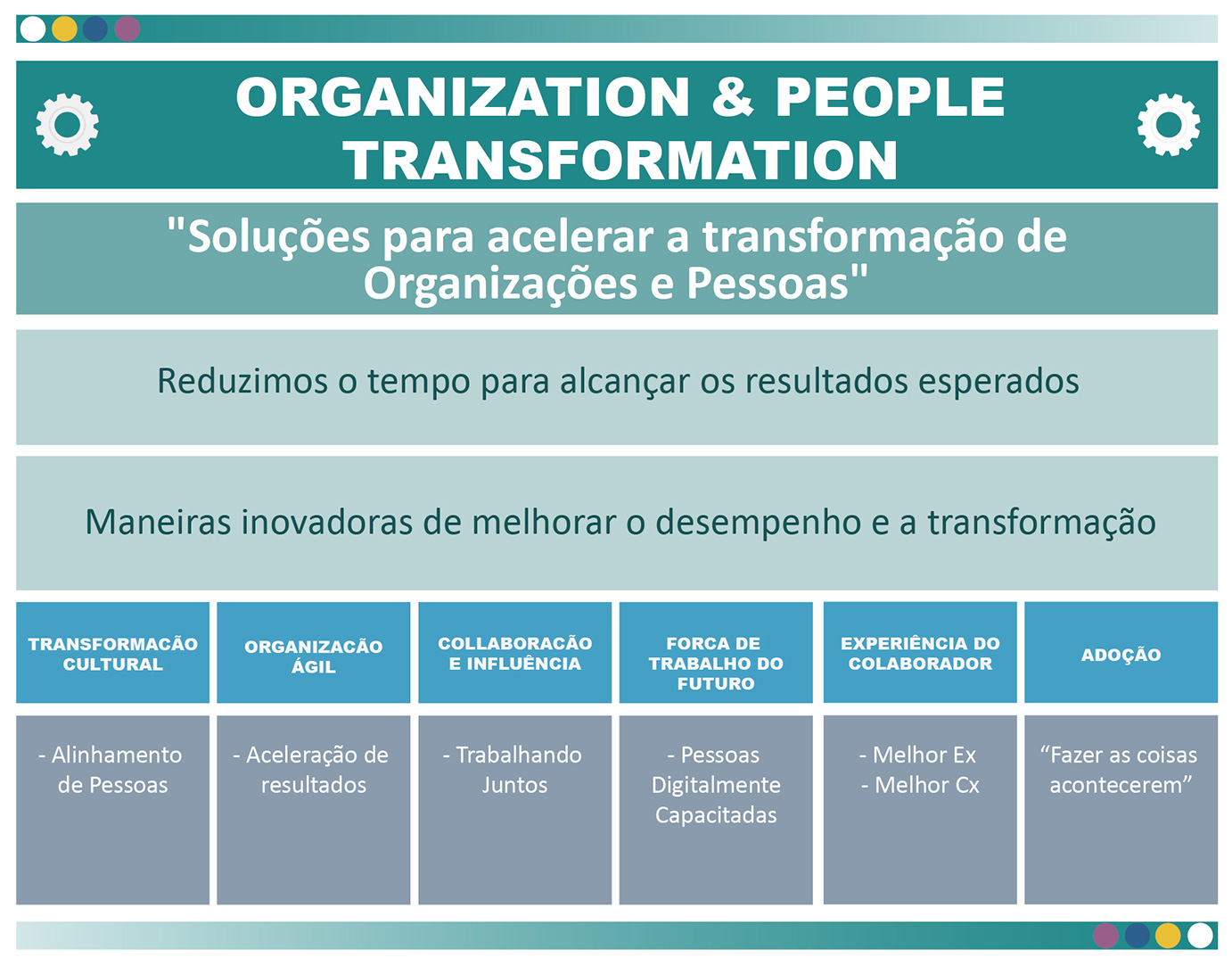 Organization-PORTUGUES-V2
