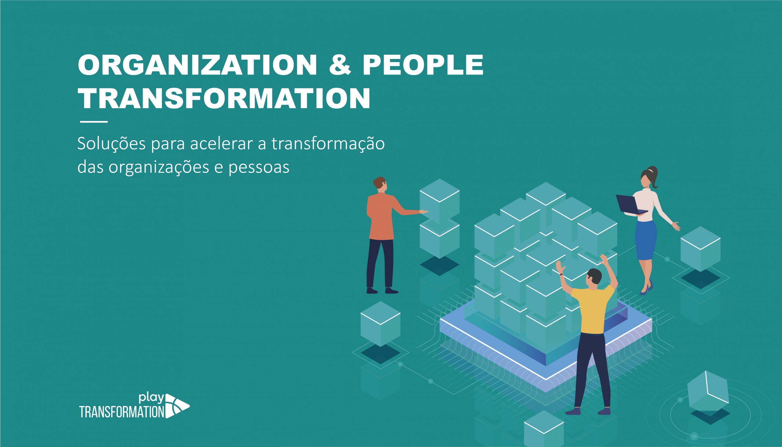 Organization-Portugues